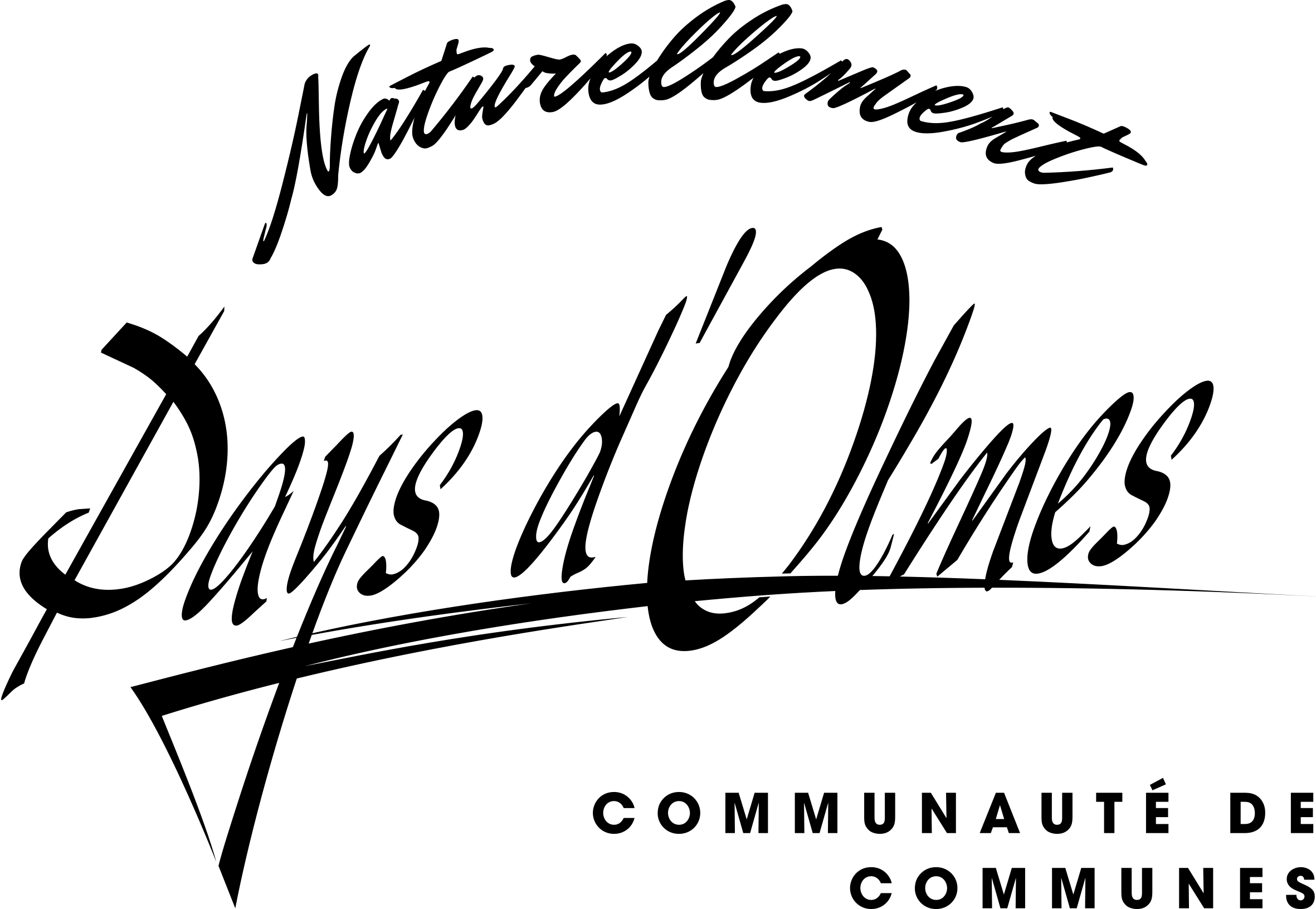 LOGO_CCPO_NOIR