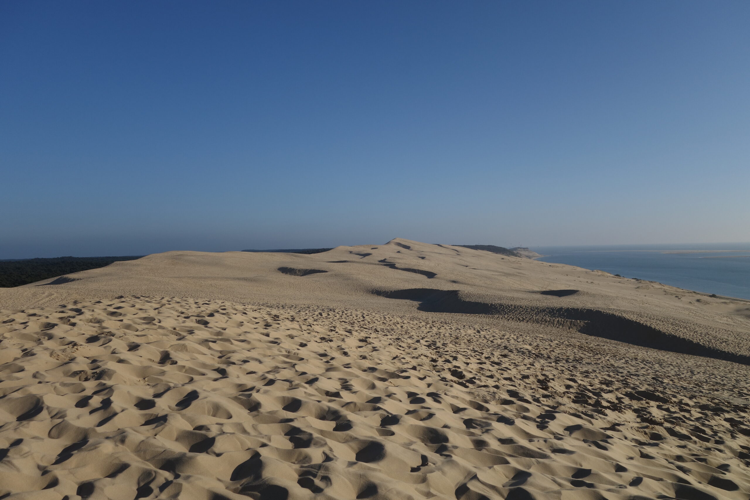 DunePila-2021_08421