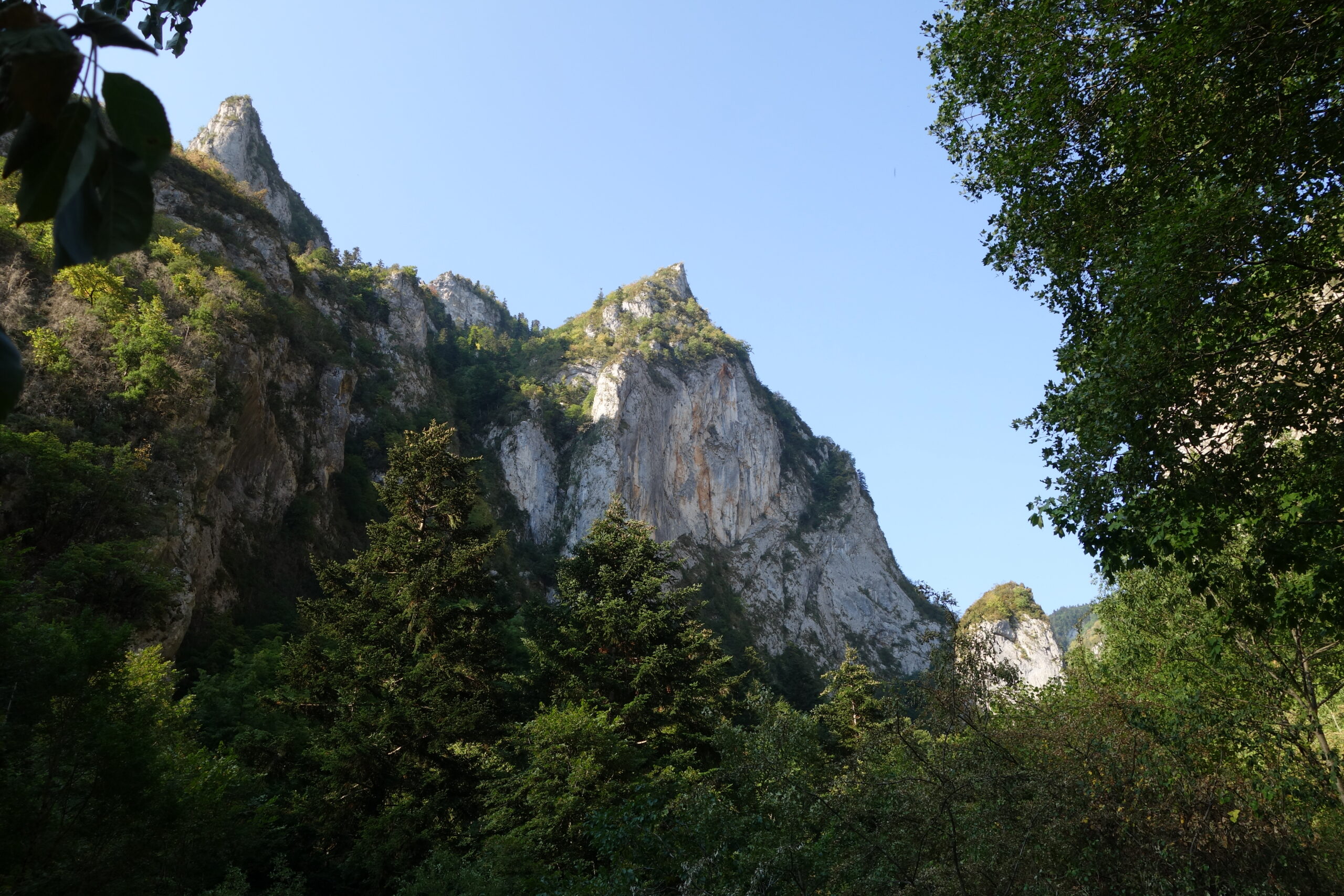 Fougax-et-Barrineuf-lys-2022_1433