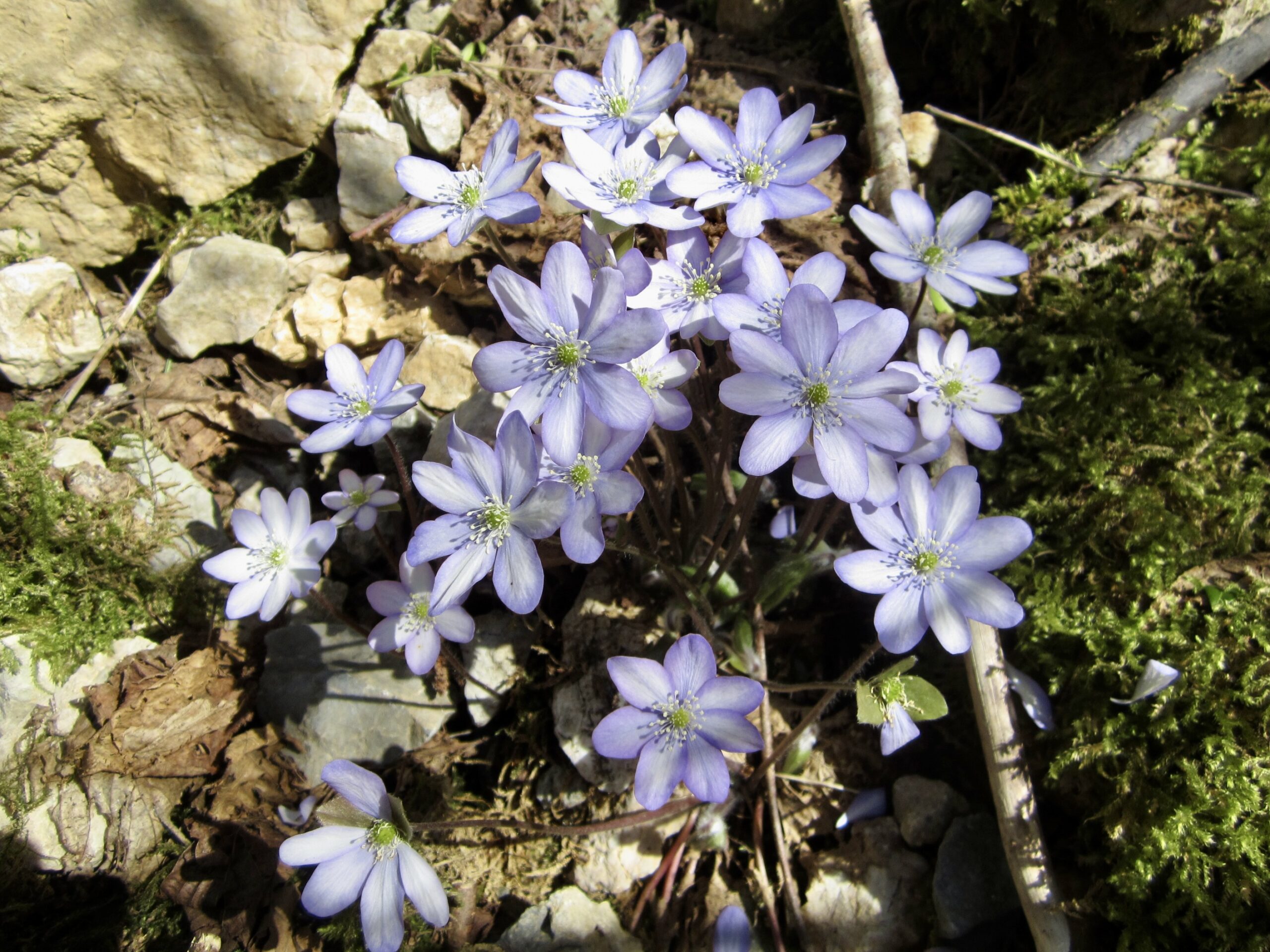 FougaxetBarrineuf-GorgeFrau-20134880 2