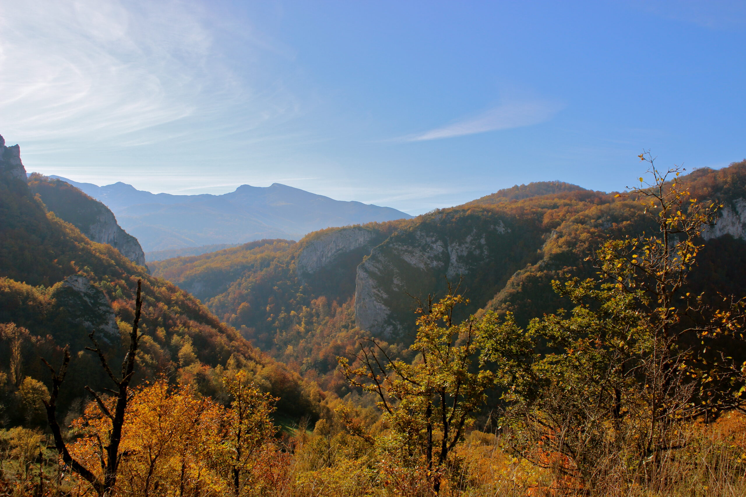 Pereille-Gorges-2014_1629