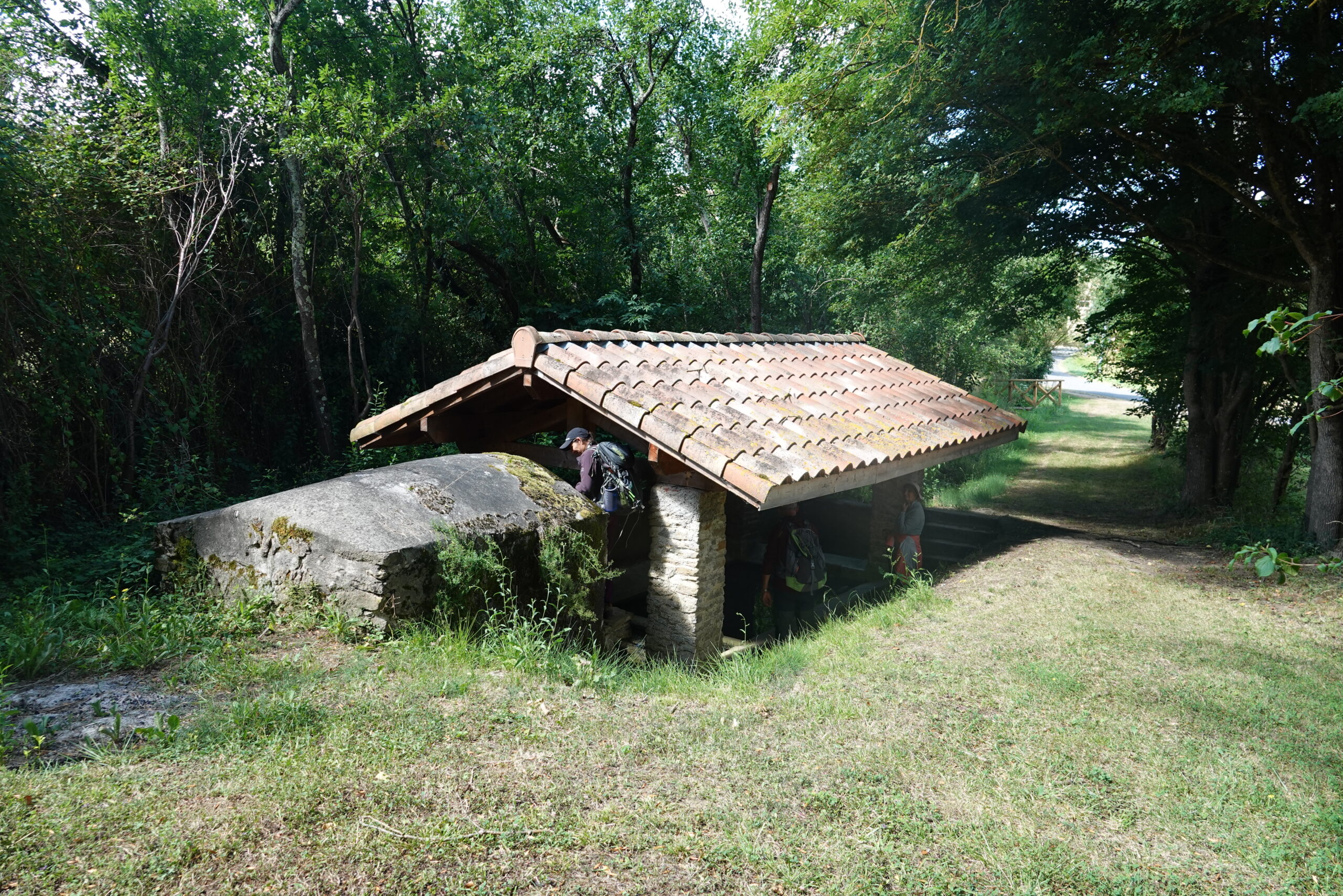 DSC09998